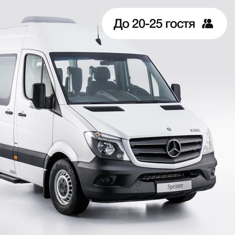 Трансфер Sprinter, До 20-25 гостя
